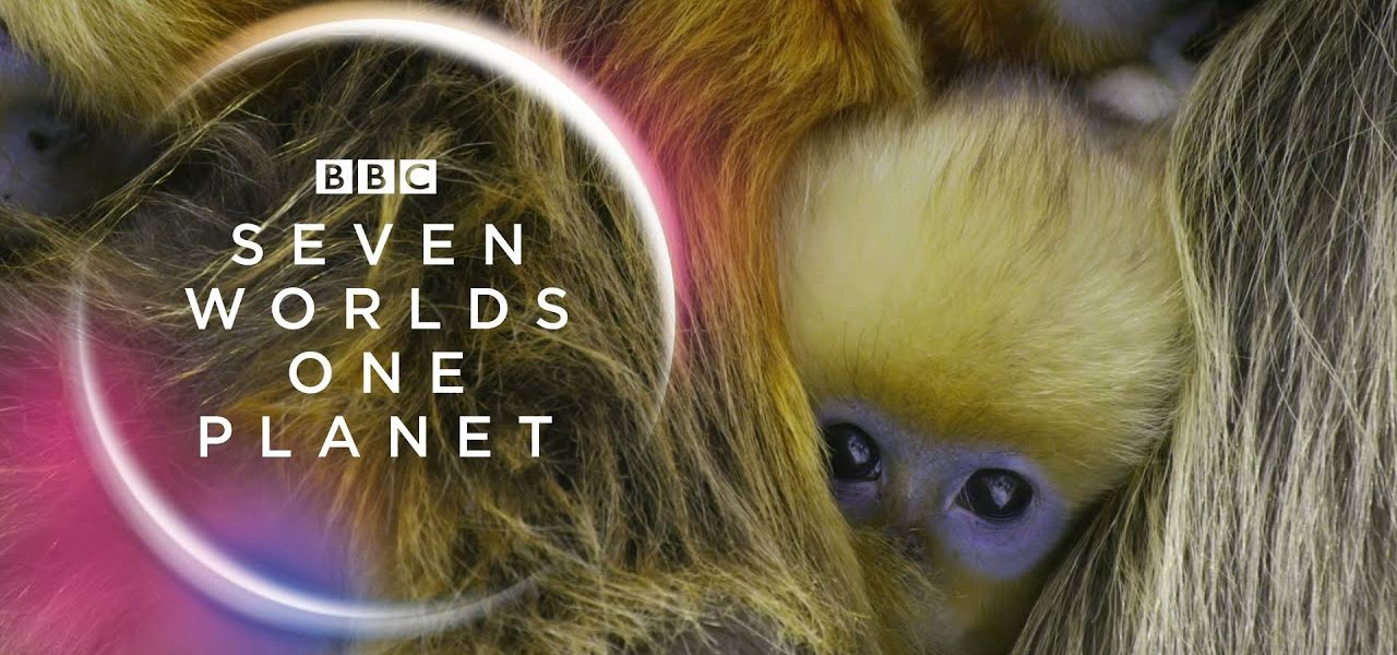 Documentary ‘Seven Worlds, One Planet’